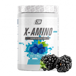 Аминокислотный комплекс 2SN X-Amino 360g (ежевика)
